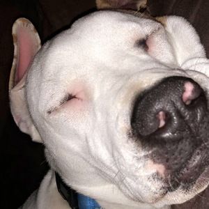 Meet your Posher, Sally